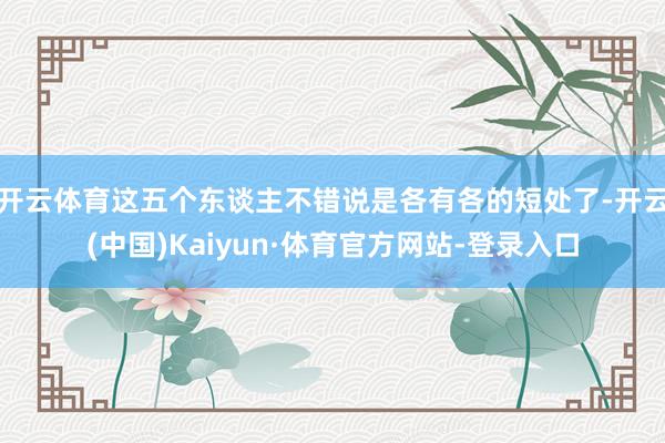 开云体育这五个东谈主不错说是各有各的短处了-开云(中国)Kaiyun·体育官方网站-登录入口