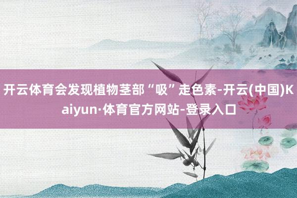 开云体育会发现植物茎部“吸”走色素-开云(中国)Kaiyun·体育官方网站-登录入口